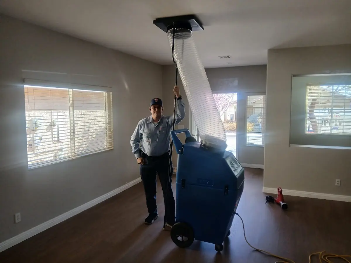 Professional Dryer Vent Cleaning work inside a Livonia home